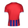 Maillot de Supporter FC Heidenheim Domicile 2024-25 Pour Homme